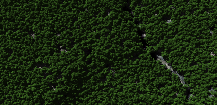 (Check out the creek running through the gorge)