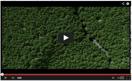 Screen shot 2013-02-04 at 8.10.20 PM