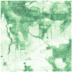 Patch heights showing vegetation and open areas