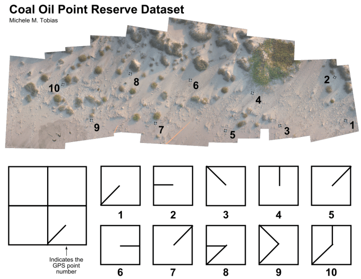 Image of ground control over Coal Oil Point Reserve dataset