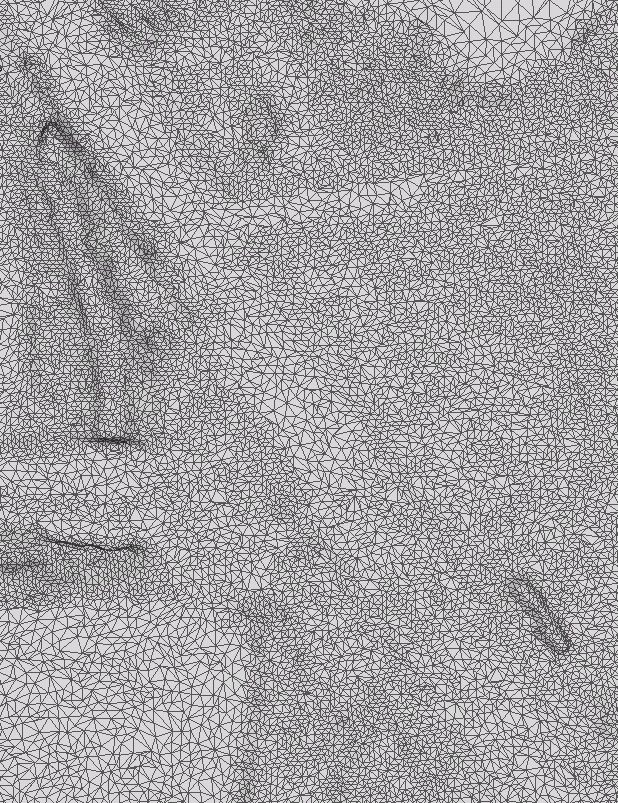 Snapshot of untextured mesh, Seneca test dataset