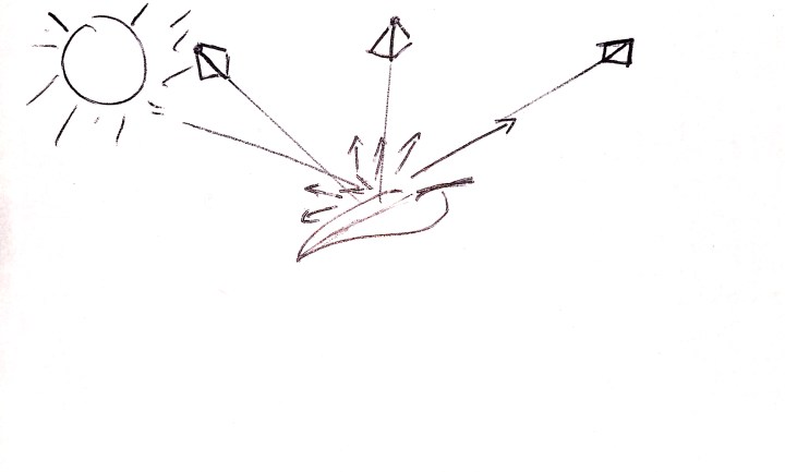 Diagram of reflectance gradient on leaf.