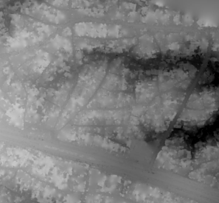 Image of surface model derived from points filtered using approximate progressive morphological filter.