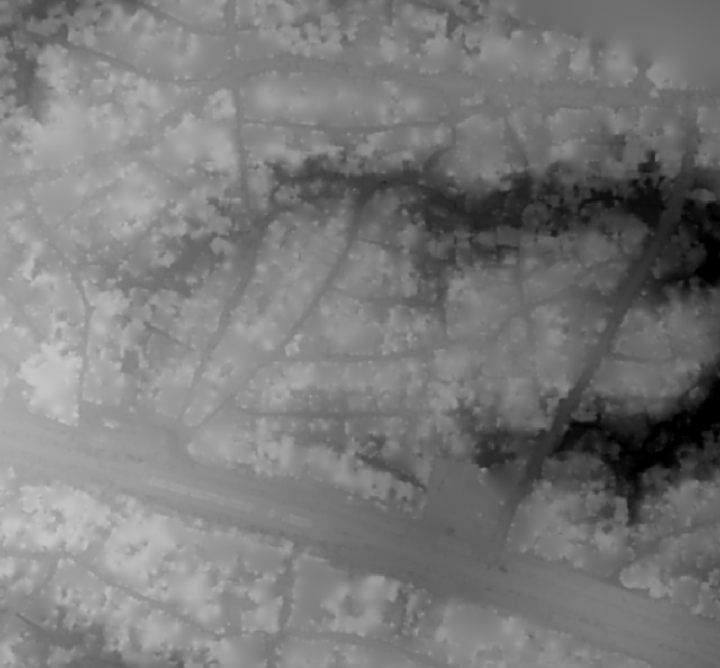 Image of surface model derived from points filtered using progressive morphological filter.