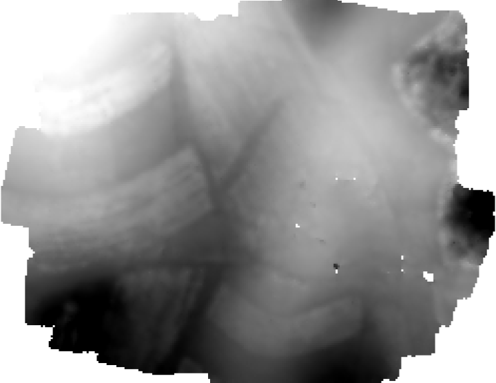 Screen shot of resultant Digital Surface Model