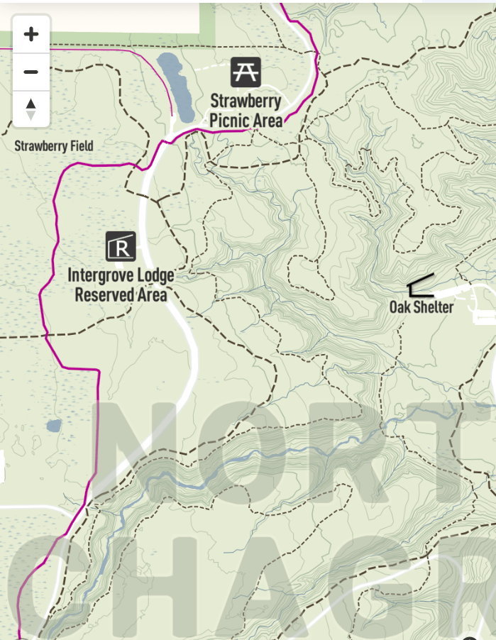 Overview map of complicated trails